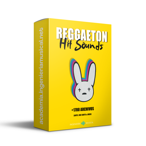🎵 Reggaeton Hit Sounds